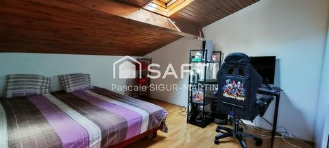photo no. 12
