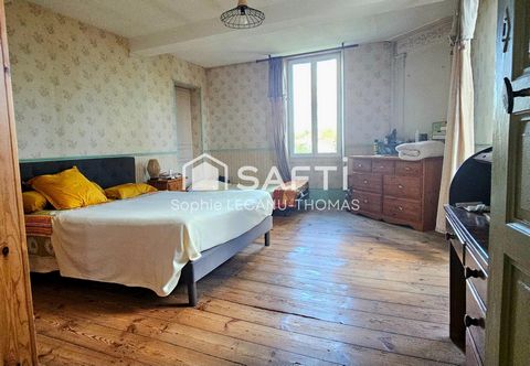 photo no. 11