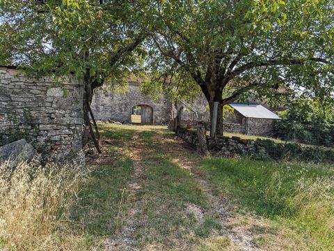 photo no. 16