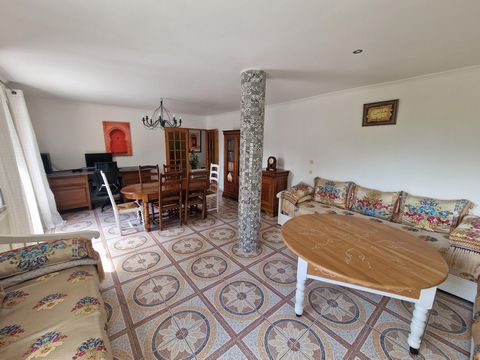 photo no. 14