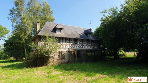 photo no. 2