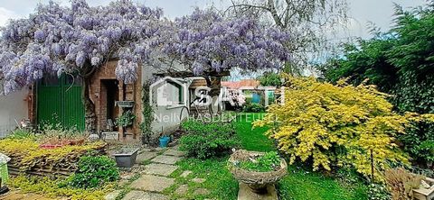 photo no. 10