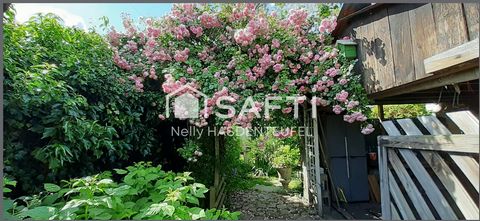 photo no. 12