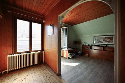 photo no. 7