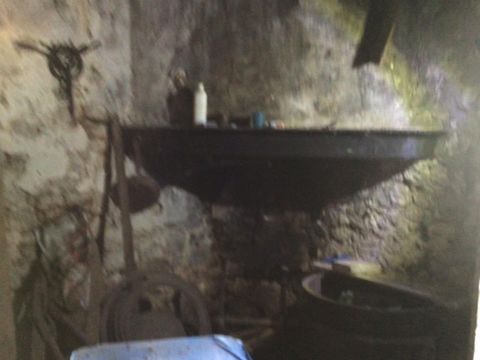 photo no. 6