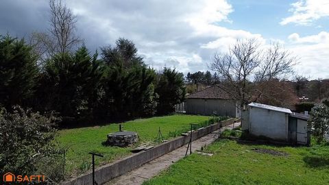 photo no. 1