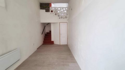 photo no. 7