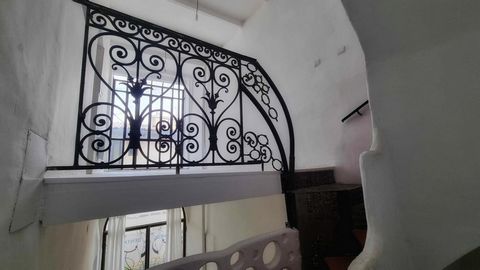photo no. 16