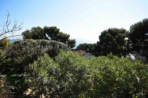photo no. 28