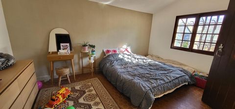 photo no. 7