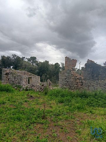 **Terreno com Ruína e Vista Deslumbrante – Lagoa do Cão, Aljubarrota** Se procura tranquilidade, privacidade e uma ligação única à natureza, esta é a oportunidade perfeita! **Localização:** Lagoa do Cão, Aljubarrota – a poucos minutos de Alcobaça **Á...