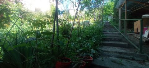 photo no. 10