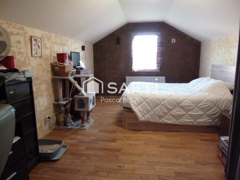 photo no. 15