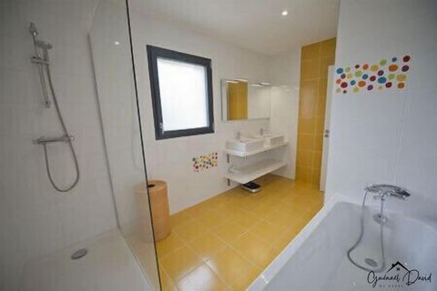 photo no. 13