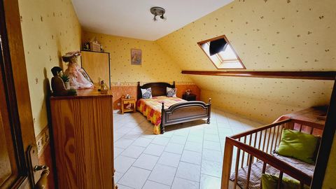 photo no. 6
