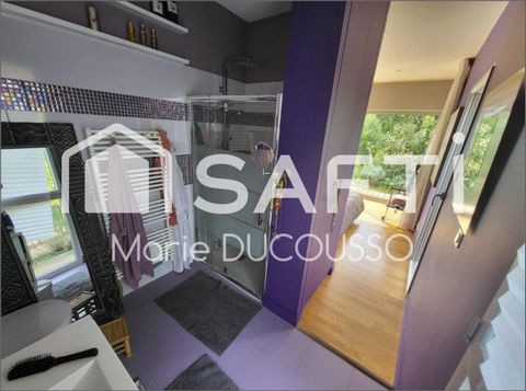 photo no. 12