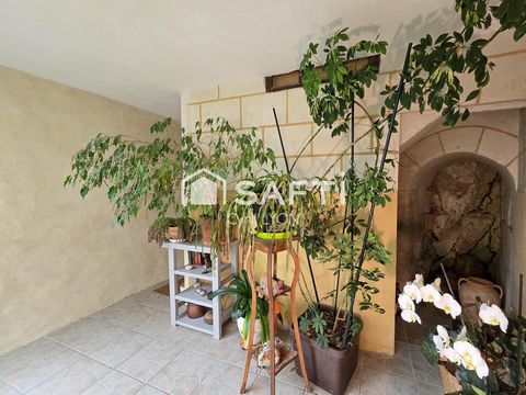 photo no. 6