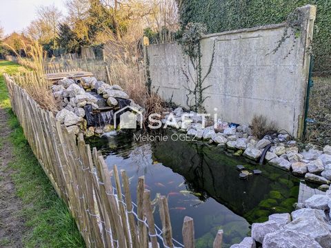 photo no. 8