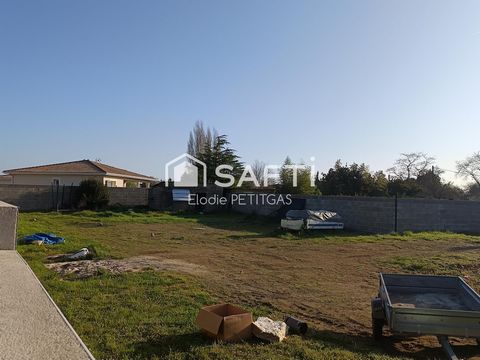 photo no. 1