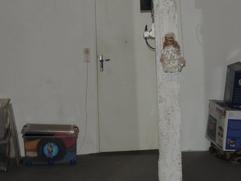 photo no. 11