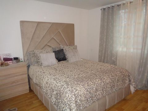 photo no. 5