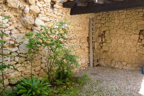 photo no. 2