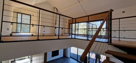 photo no. 6