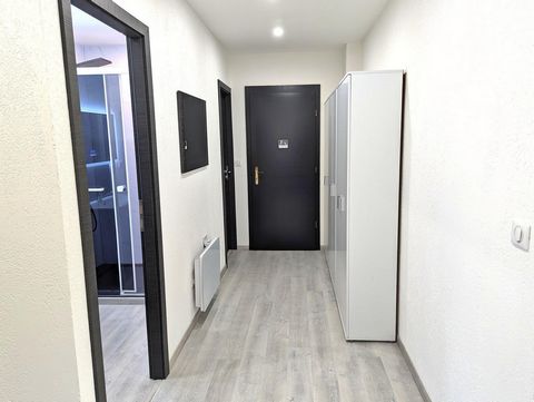 photo no. 8