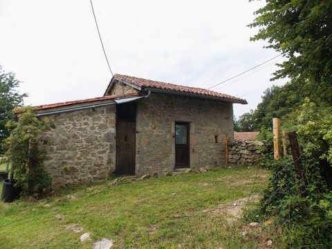 photo no. 12