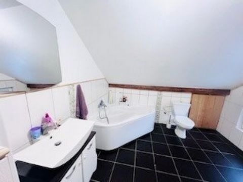 photo no. 8