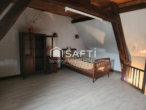 photo no. 11
