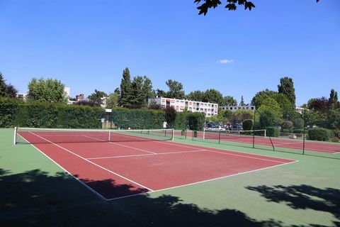 photo no. 8