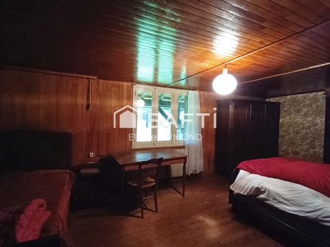 photo no. 19
