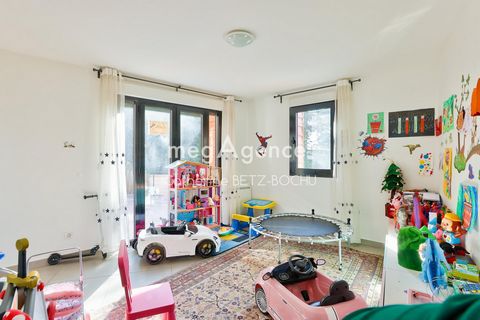 photo no. 9