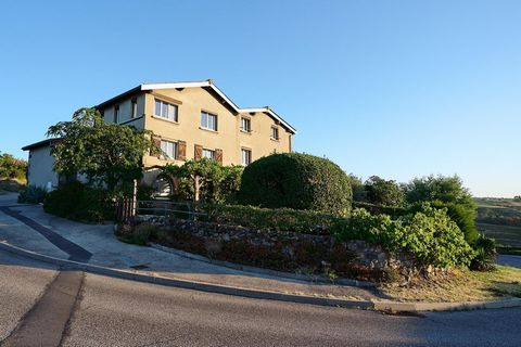 photo no. 9