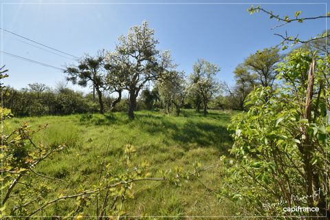 photo no. 1