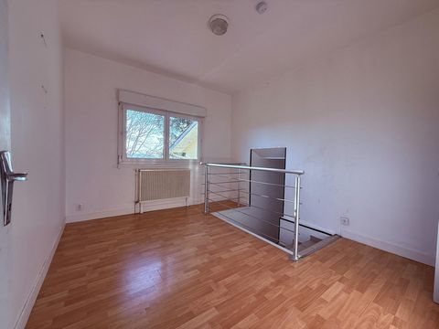photo no. 10