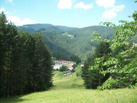 372:IMMOBILIE ZUM VERKAUF - LANDWIRTSCHAFTLICHE FLÄCHE 3650M² IM DORF MOMCHOLOVTSI. DAS ANWESEN GRENZT AN DIE REGULIERUNG UND IST VON PINIENWALD UMGEBEN UND HAT EIN WUNDERSCHÖNES PANORAMA. IN UNMITTELBARER NÄHE STROM UND WASSER. UNTERSTÜTZUNG FÜR DEN...