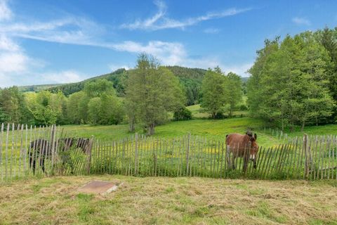 This cozy stay in the Belgian province of Luxembourg has a beautiful, fenced private garden and a wonderful, natural location. It is ideal for soothing vacations with family or friends. Start the day with a nice walk through nature or visit the cente...