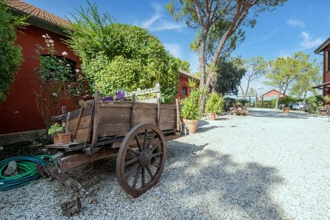 Near Rome and the Via Salaria, one of the roads paved by the Romans, you will find this beautiful estate in the midst of the Marcigliana nature park. It is an ideal basis for visiting Rome because you are there within a half an hour. The estate consi...