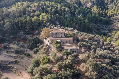 A wonderful part of the Serra de Tramuntana awaits a new owner. Oriented towards the sea, every day the sunset is different. Sheltered in the mountains, in a privileged place, its elevated position but only 10 minutes from the beautiful town of Estel...