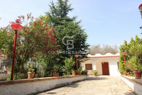 PUGLIA - LATIAN VILLA WITH VERANDA AND LAND WITH ORCHARD Coldwell Banker, offers for sale, immersed in the wonderful Apulian countryside, 1.5 km from Latiano, a fenced villa with veranda, surrounded by 1400 square meters of land with orchard. The pro...
