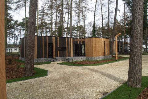This lovely detached single-storey chalet is situated in Resort Hoge Kempen, in the beautiful Belgian province of Limburg. You'll find yourself surrounded by nature near the Hoge Kempen National Park in the Zutendaal area, about 8 km from the city of...