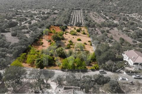 Land located in Val da Boa Hora, in the Parish of Loulé (São Sebastião), Municipality of Loulé, composed of cultivated land, carob trees, almond trees, fig trees, holm oaks and olive trees. The building is located in an urbanised area, which we verif...