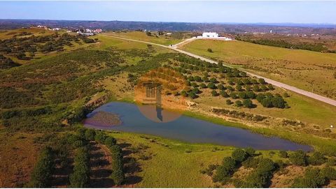 Land with 53.520 m2 in Campeiros, Castro Marim - Algarve. It features a private lake on the grounds. Natural swimming pool. Flat parts and with platforms for caravan or Removable house. Unobstructed view of the Algarve mountains and the sea. Good acc...