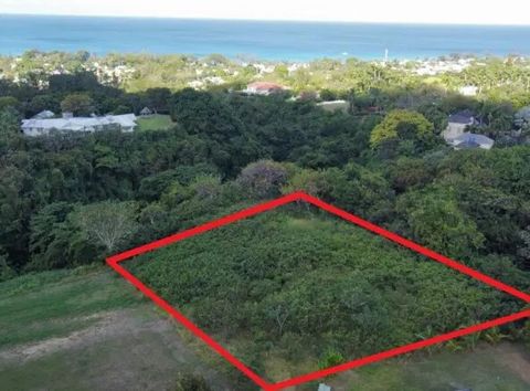This is one of the most expansive and sought after lots within the Heron Mill Development, with the gully on both the north and west and sea views in the distance. Located in a prime area on a ridge with sea views above Mullins Bay in the Parish of S...