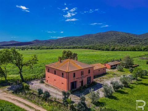 This rustico is hidden away between the sea and the green hills of Tuscany. Just four kilometers from the seashore, surrounded by the beautiful sandy beaches of Cala di Forno and Collelungo, this property is the perfect home for lovers of the sea and...