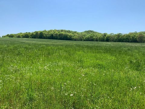 This Williamson County, Tennessee property has it all! For the private estate buyer, your homesite choices are many. Choose a location along the gently rolling pasture, pick a spot somewhere at the edge of the woods, or select the ultimate privacy de...