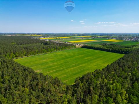 A unique building plot for sale with an area of 13.3255 ha, ideal for investment in the form of a housing estate of about 90 single-family houses, located in Charzyno near Kołobrzeg. It is surrounded by a charming forest, which makes it a magical pla...