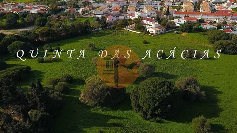Tradycyjny dom na sprzedaż na farmie obok centrum miasta. Dziedzictwo tradycji Algarve Quinta, ze śladami nowoczesności, prawdziwa oaza w miejskiej okolicy Vila Nova de Cacela i w pobliżu słynnej plaży Manta Rota. Ta nieruchomość, o wyjątkowych cecha...